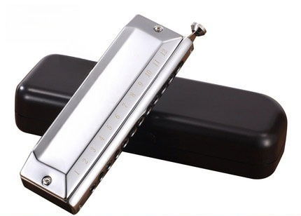 Musical Instrument Easy To Learn For Adults - Semi-kleurharmonica met 12 of 16 gaten,