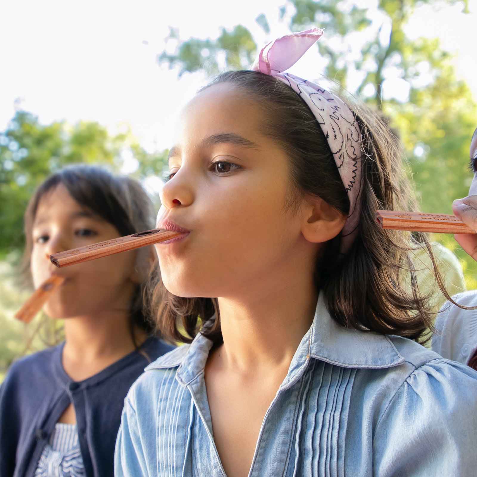 1 set massief houten kazoo, ee - Musical Instrument Easy To Learn For Adults recensie en prijs