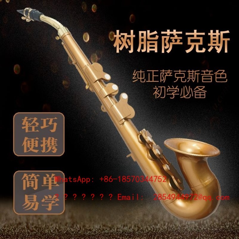 Hars-saxofoon muziekinstrument - Musical Instrument Easy To Learn For Adults recensie en prijs