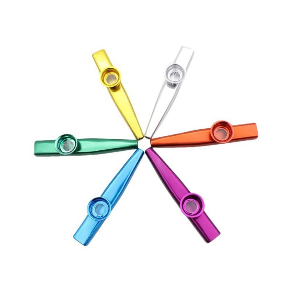 Kazoo-instrumenten van alumini - Musical Instrument Kazoo recensie en prijs