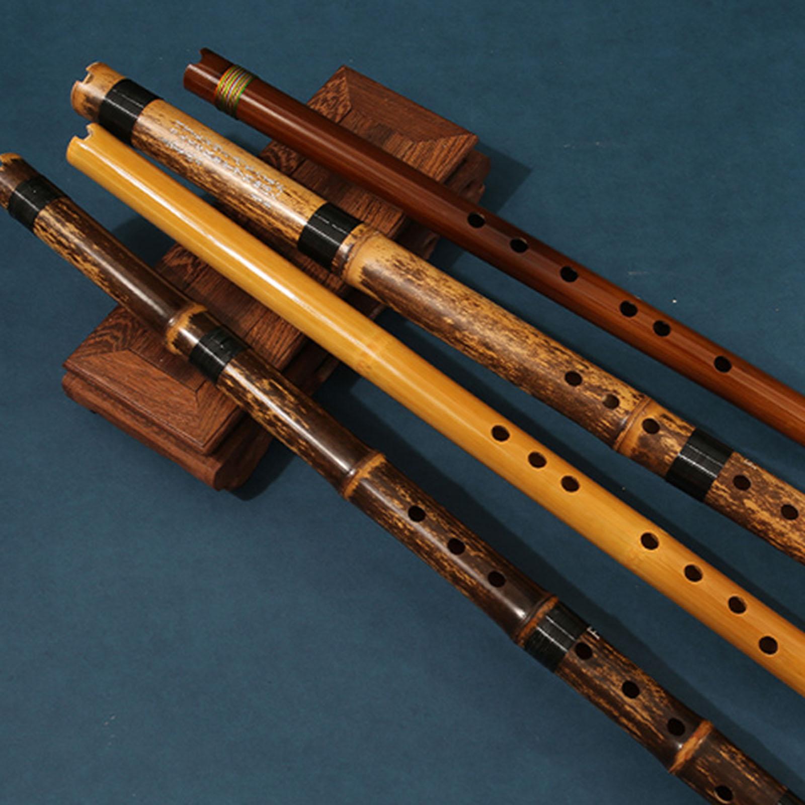 Fluit Klassiek Muziekinstrumen - Musical Instrument Easy To Learn For Adults recensie en prijs