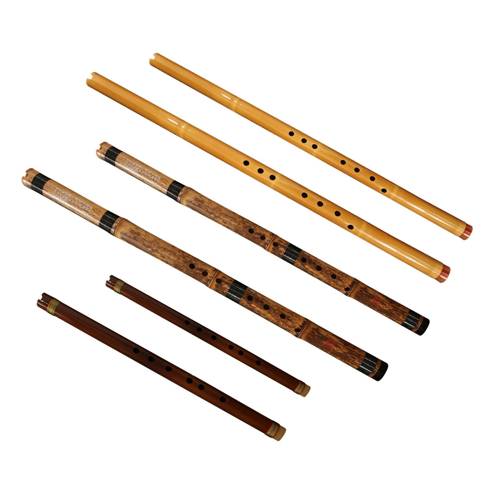 Fluit Klassiek Muziekinstrumen - Musical Instrument Easy To Learn For Adults recensie en prijs