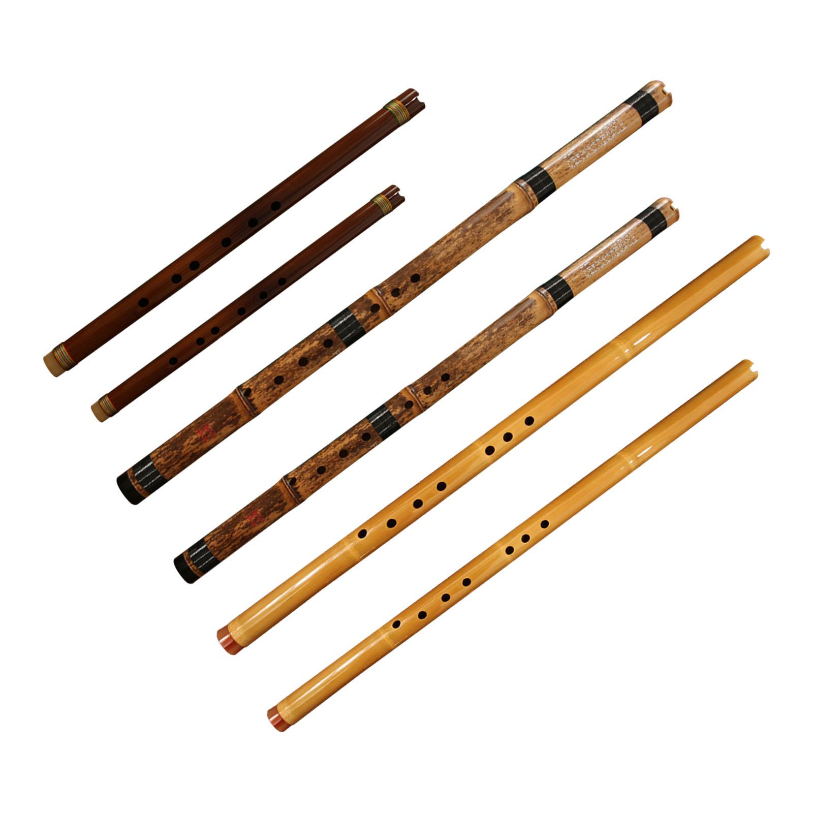 Fluit Klassiek Muziekinstrumen - Musical Instrument Easy To Learn For Adults recensie en prijs